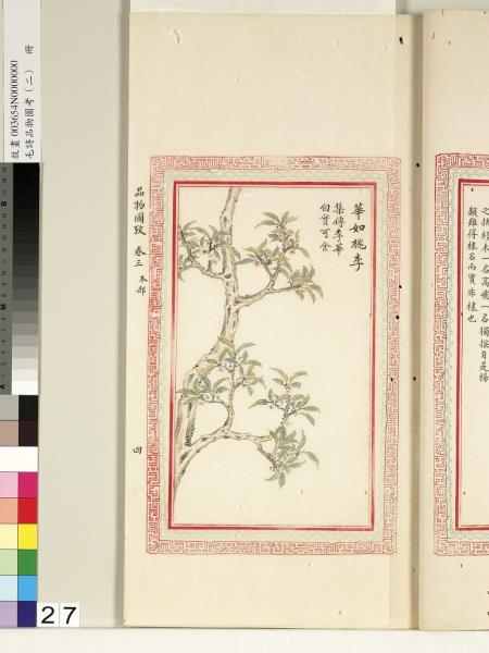 毛詩品物圖考（二）　冊　其檿其柘