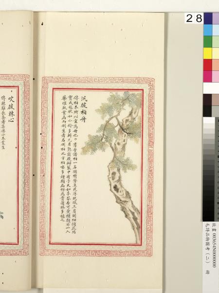 毛詩品物圖考（二）　冊　其檿其柘