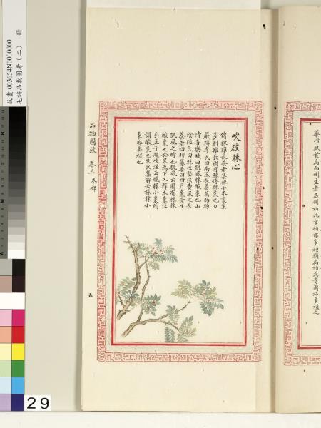 毛詩品物圖考（二）　冊　其檿其柘