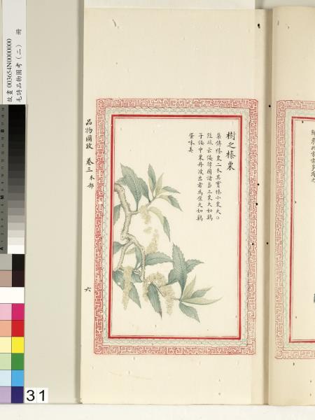 毛詩品物圖考（二）　冊　其檿其柘