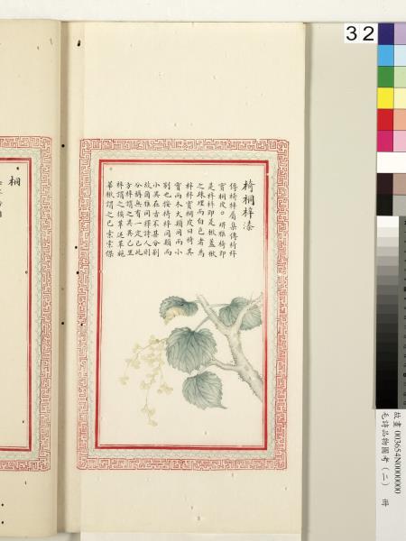 毛詩品物圖考（二）　冊　其檿其柘