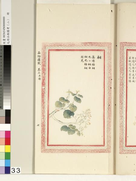 毛詩品物圖考（二）　冊　其檿其柘