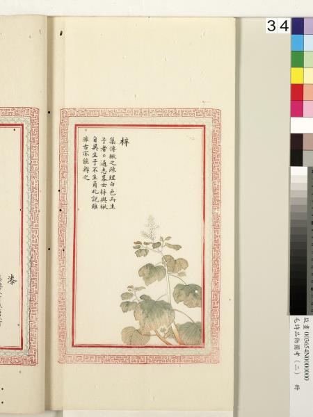 毛詩品物圖考（二）　冊　其檿其柘