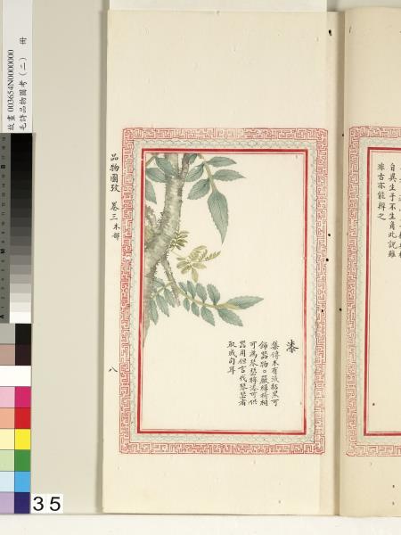毛詩品物圖考（二）　冊　其檿其柘