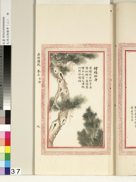 毛詩品物圖考（二）　冊　其檿其柘