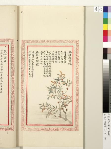 毛詩品物圖考（二）　冊　其檿其柘