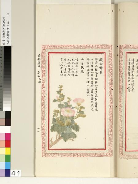 毛詩品物圖考（二）　冊　其檿其柘