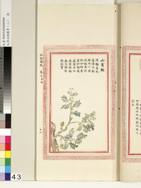 毛詩品物圖考（二）　冊　其檿其柘