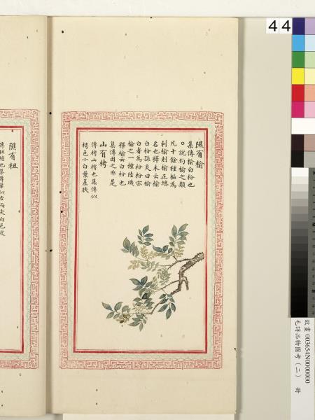 毛詩品物圖考（二）　冊　其檿其柘