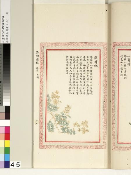 毛詩品物圖考（二）　冊　其檿其柘