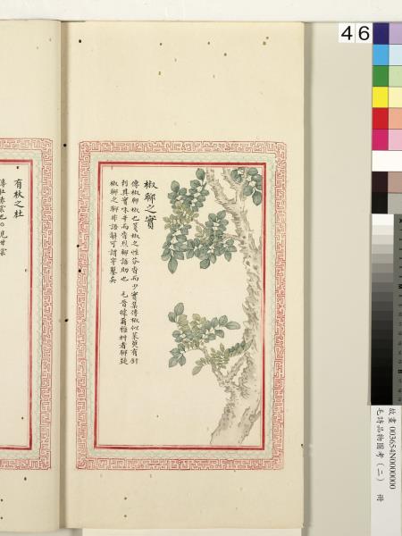 毛詩品物圖考（二）　冊　其檿其柘