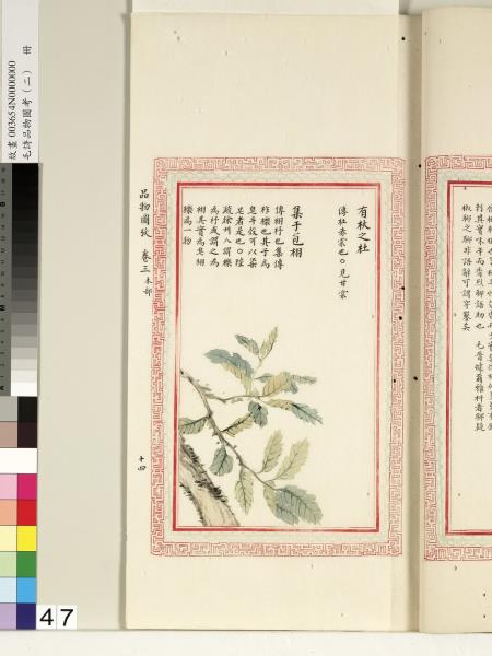 毛詩品物圖考（二）　冊　其檿其柘