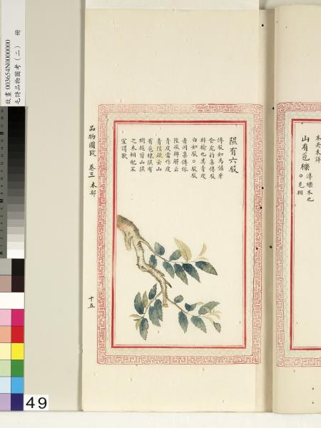 毛詩品物圖考（二）　冊　其檿其柘