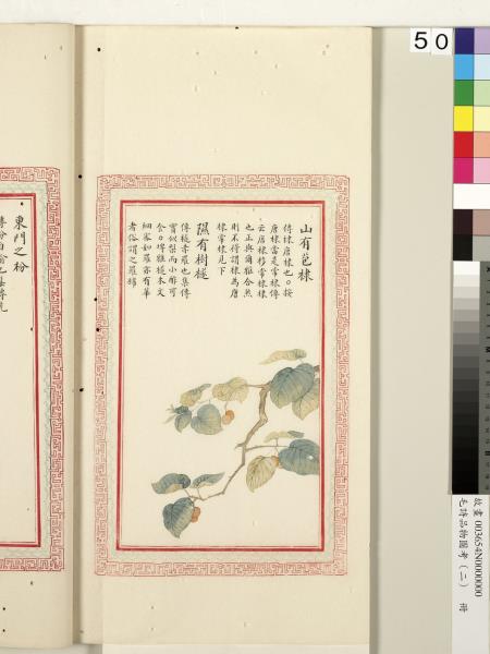 毛詩品物圖考（二）　冊　其檿其柘