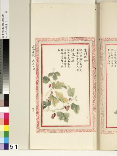 毛詩品物圖考（二）　冊　其檿其柘