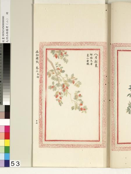 毛詩品物圖考（二）　冊　其檿其柘