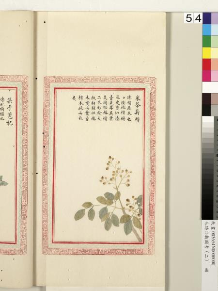 毛詩品物圖考（二）　冊　其檿其柘