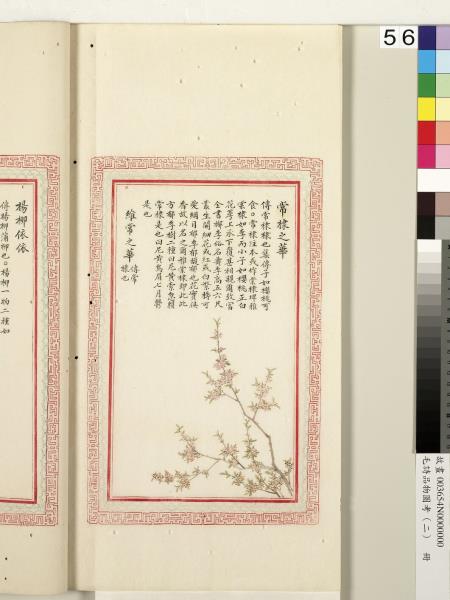 毛詩品物圖考（二）　冊　其檿其柘