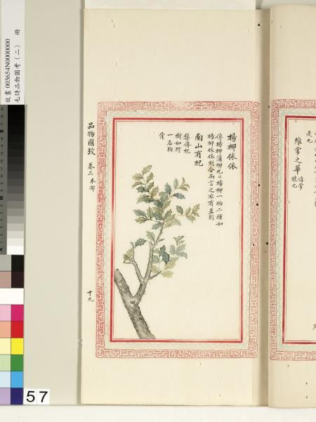 毛詩品物圖考（二）　冊　其檿其柘