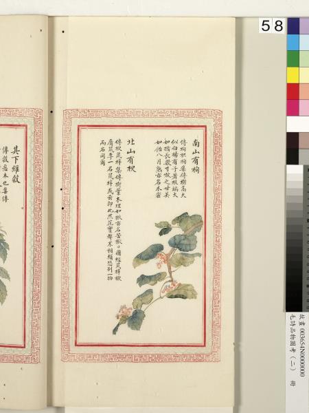 毛詩品物圖考（二）　冊　其檿其柘