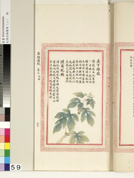 毛詩品物圖考（二）　冊　其檿其柘