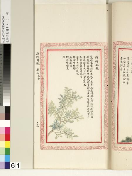 毛詩品物圖考（二）　冊　其檿其柘