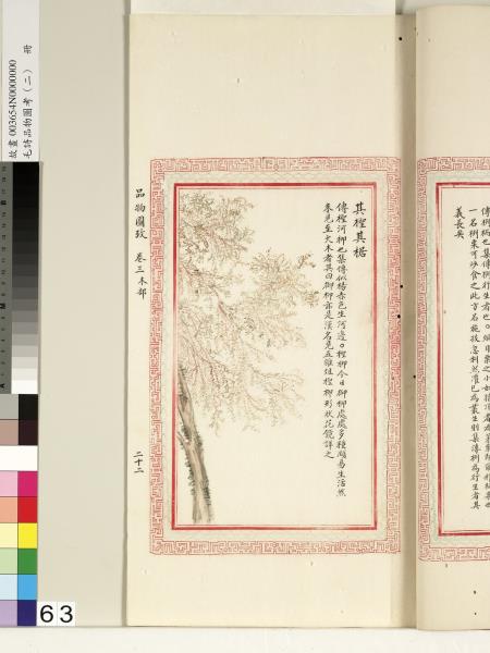 毛詩品物圖考（二）　冊　其檿其柘