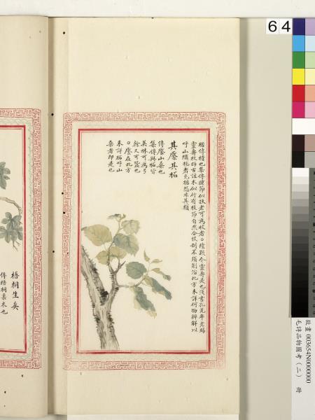 毛詩品物圖考（二）　冊　其檿其柘