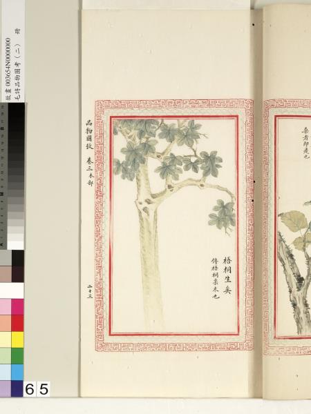 毛詩品物圖考（二）　冊　其檿其柘