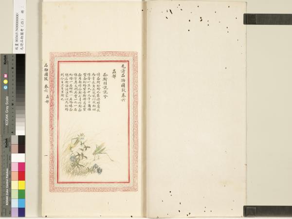 毛詩品物圖考（四）　冊　趯趯阜螽