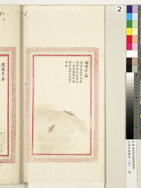 毛詩品物圖考（四）　冊　趯趯阜螽