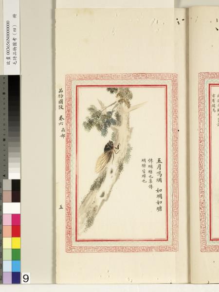 毛詩品物圖考（四）　冊　趯趯阜螽