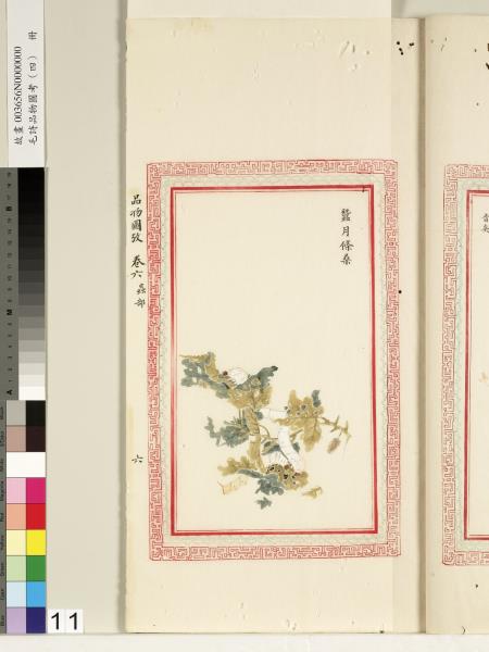 毛詩品物圖考（四）　冊　趯趯阜螽