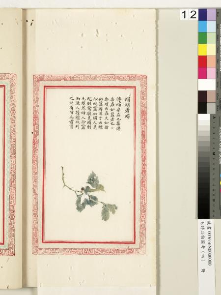 毛詩品物圖考（四）　冊　趯趯阜螽