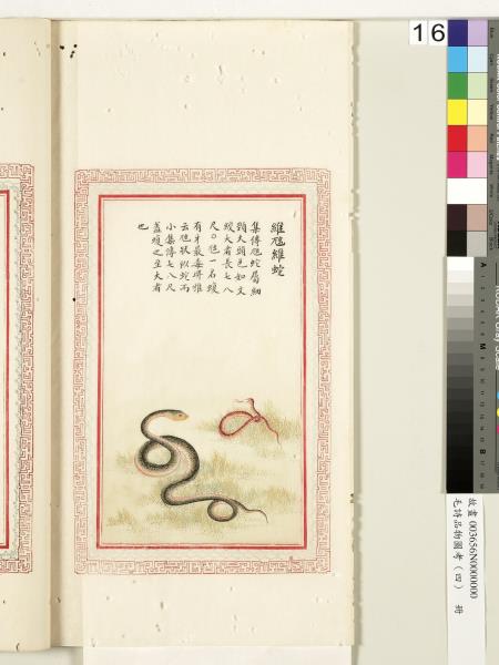 毛詩品物圖考（四）　冊　趯趯阜螽