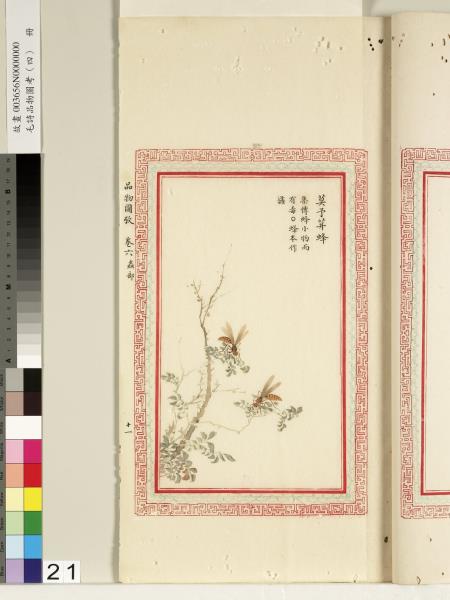 毛詩品物圖考（四）　冊　趯趯阜螽