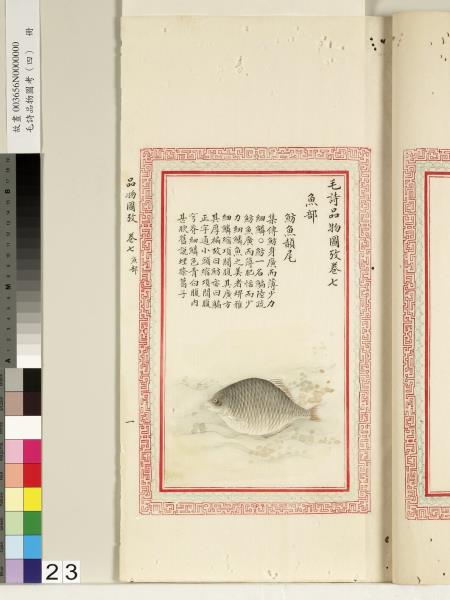 毛詩品物圖考（四）　冊　趯趯阜螽