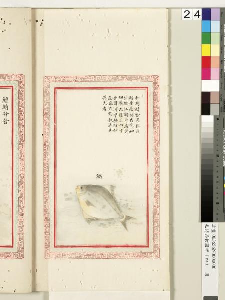 毛詩品物圖考（四）　冊　趯趯阜螽