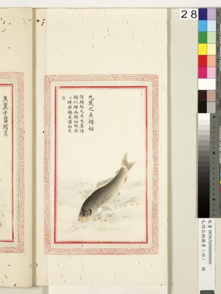 毛詩品物圖考（四）　冊　趯趯阜螽