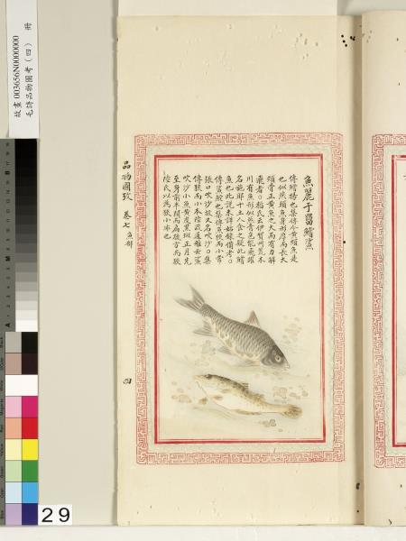 毛詩品物圖考（四）　冊　趯趯阜螽