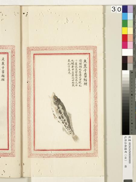 毛詩品物圖考（四）　冊　趯趯阜螽