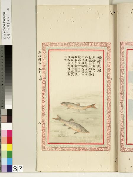 毛詩品物圖考（四）　冊　趯趯阜螽