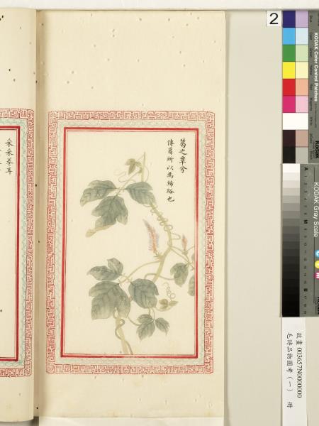 毛詩品物圖考（一）　冊　葭菼揭揭芄蘭之支