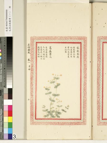 毛詩品物圖考（一）　冊　葭菼揭揭芄蘭之支