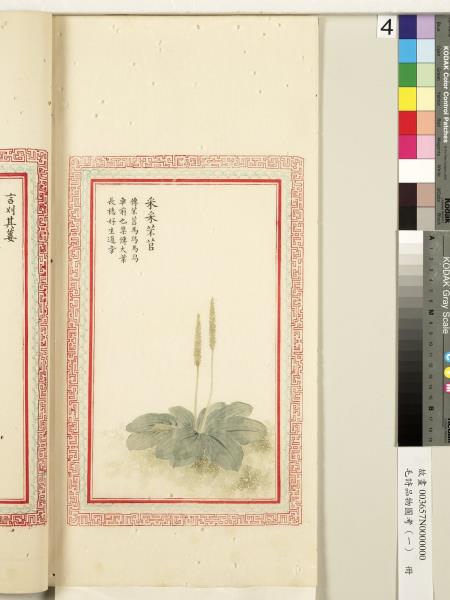 毛詩品物圖考（一）　冊　葭菼揭揭芄蘭之支