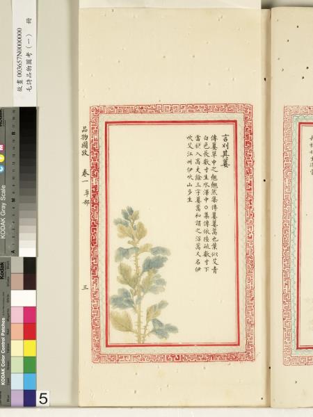 毛詩品物圖考（一）　冊　葭菼揭揭芄蘭之支