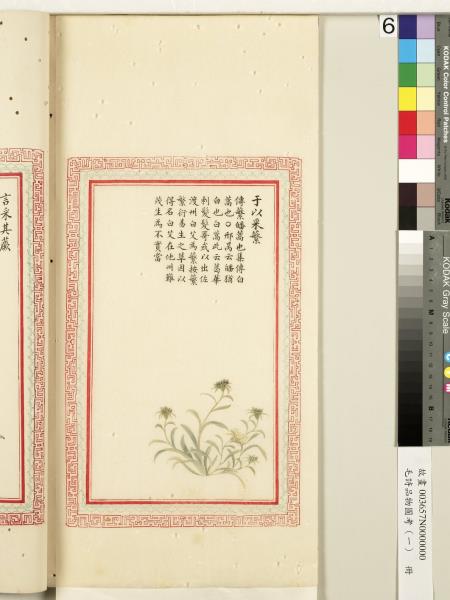 毛詩品物圖考（一）　冊　葭菼揭揭芄蘭之支