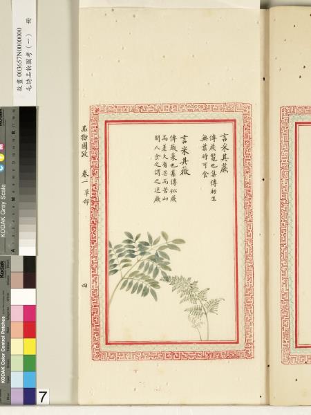 毛詩品物圖考（一）　冊　葭菼揭揭芄蘭之支