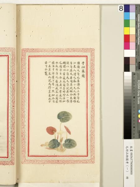 毛詩品物圖考（一）　冊　葭菼揭揭芄蘭之支