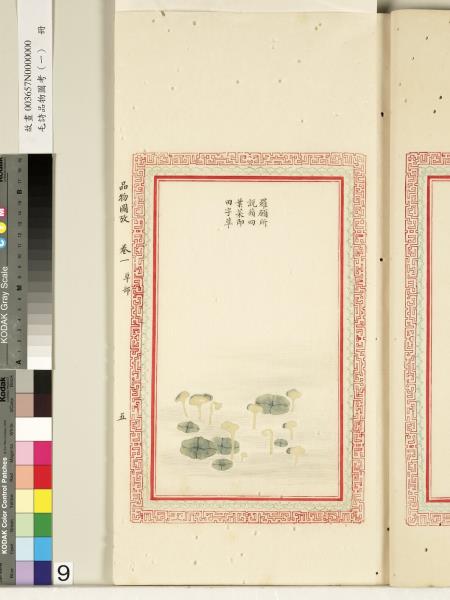 毛詩品物圖考（一）　冊　葭菼揭揭芄蘭之支